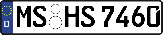MS-HS7460