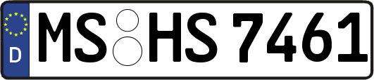 MS-HS7461
