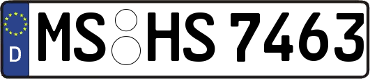 MS-HS7463