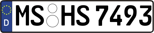 MS-HS7493