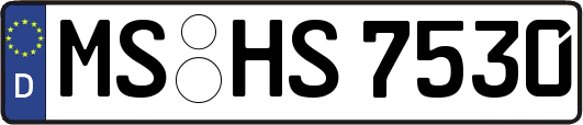 MS-HS7530