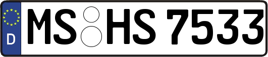 MS-HS7533