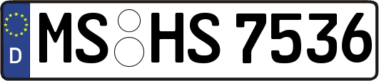 MS-HS7536