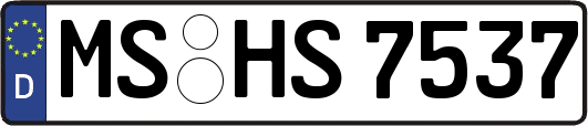 MS-HS7537