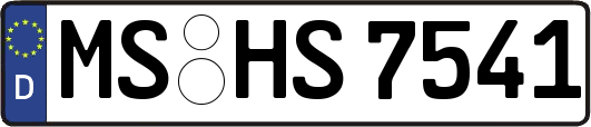 MS-HS7541