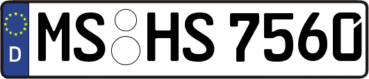 MS-HS7560
