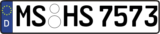 MS-HS7573