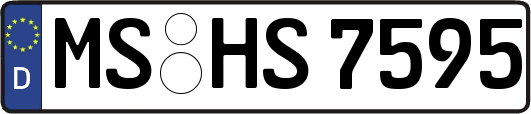 MS-HS7595