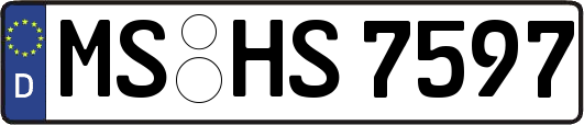 MS-HS7597
