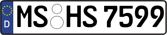 MS-HS7599