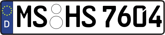 MS-HS7604