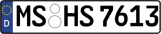 MS-HS7613