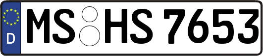 MS-HS7653