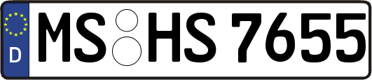 MS-HS7655