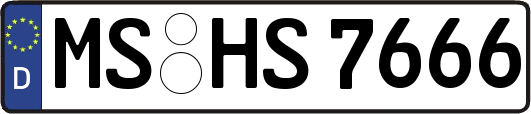 MS-HS7666