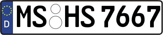 MS-HS7667