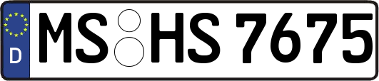 MS-HS7675