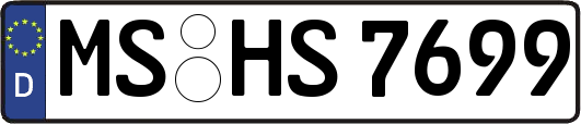 MS-HS7699