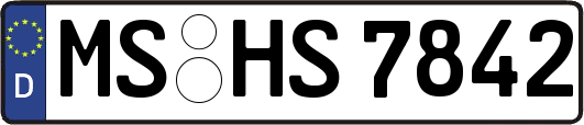 MS-HS7842