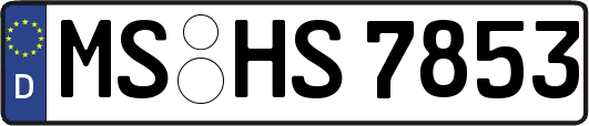 MS-HS7853