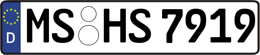 MS-HS7919