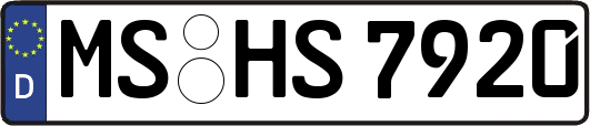 MS-HS7920