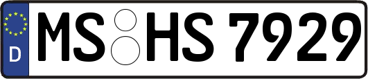 MS-HS7929