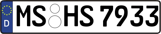 MS-HS7933