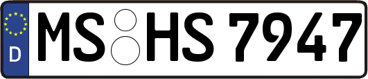 MS-HS7947