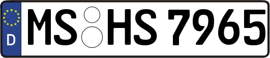 MS-HS7965