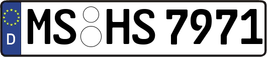 MS-HS7971