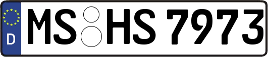 MS-HS7973