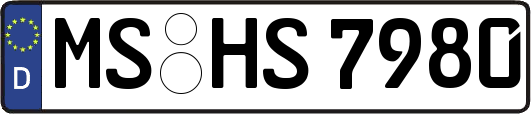 MS-HS7980