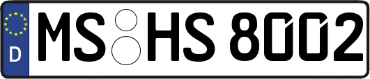 MS-HS8002