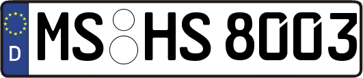 MS-HS8003