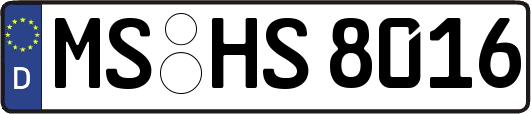 MS-HS8016