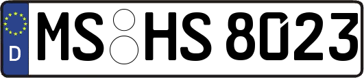MS-HS8023