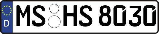 MS-HS8030