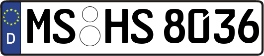 MS-HS8036