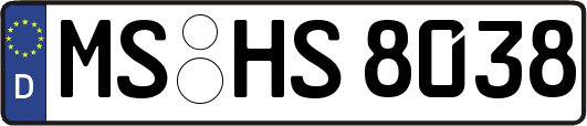 MS-HS8038