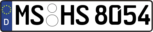 MS-HS8054