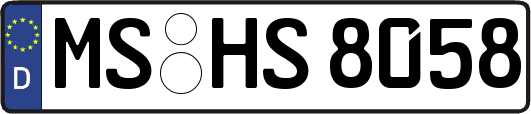 MS-HS8058