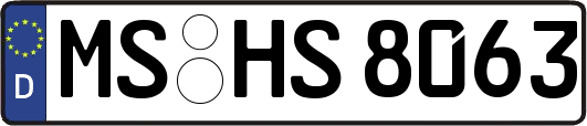 MS-HS8063