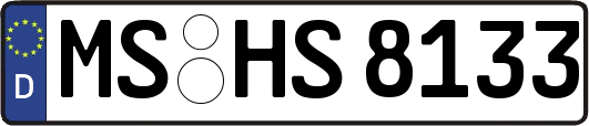 MS-HS8133