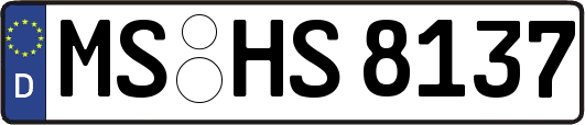 MS-HS8137
