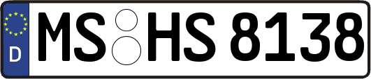 MS-HS8138