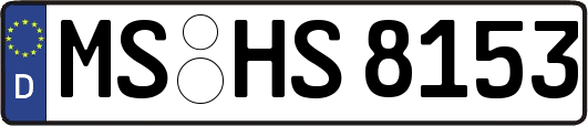 MS-HS8153