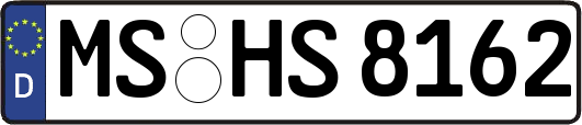 MS-HS8162