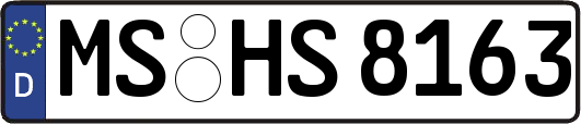 MS-HS8163