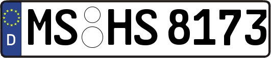 MS-HS8173
